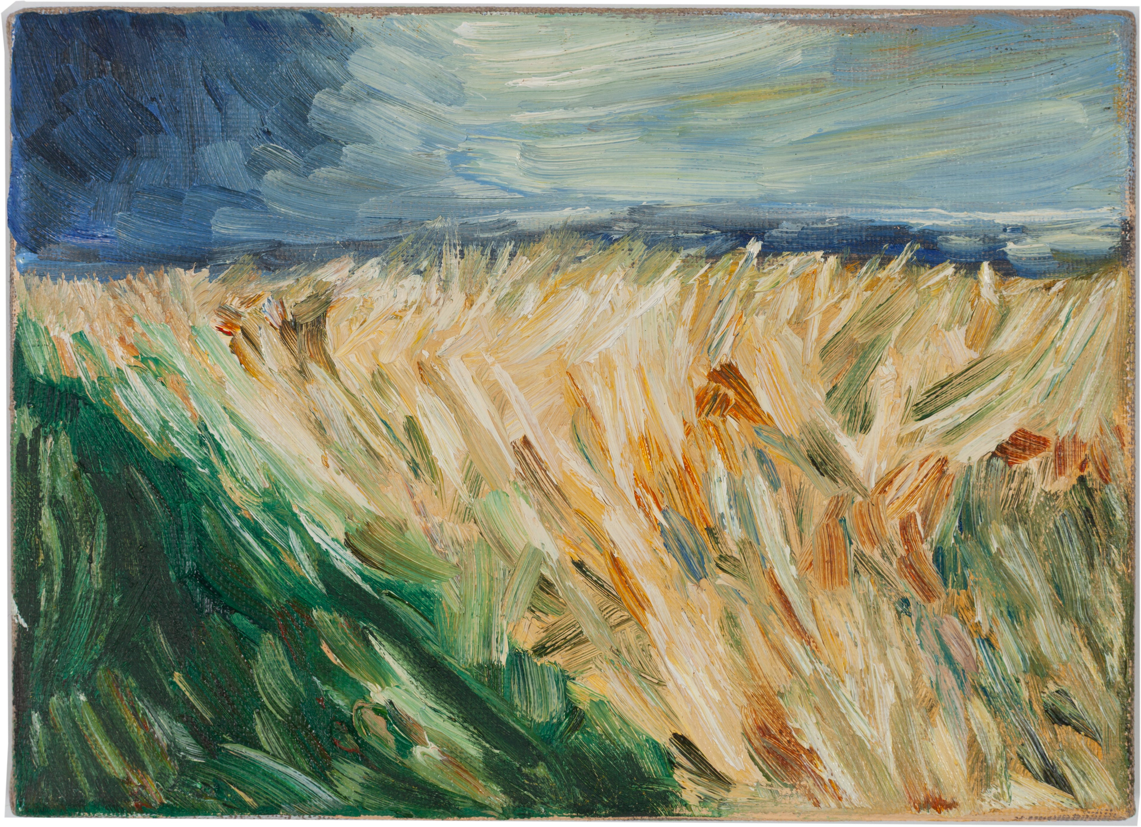 Ari Salfo , Le champ de blé, huile sur toile, 10 × 15 cm.